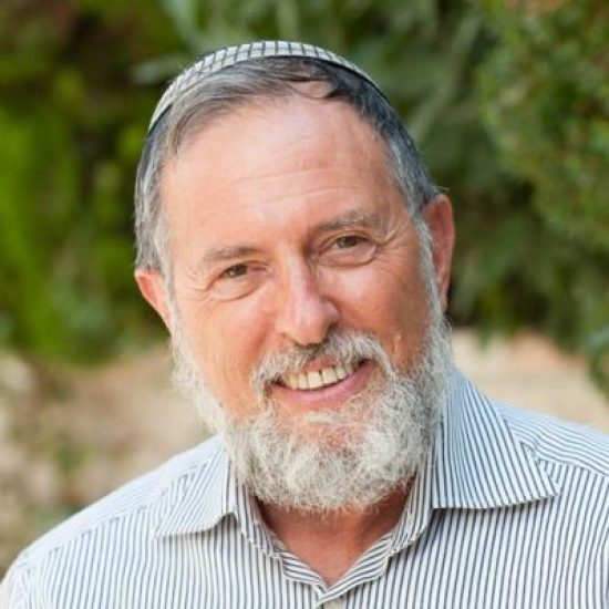 אברהם וולפיש