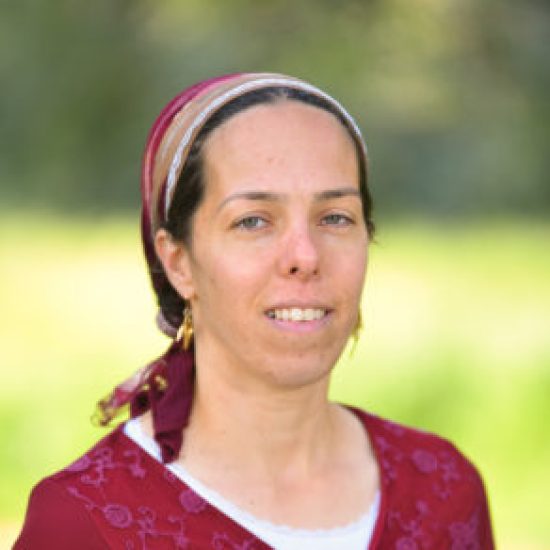 זיוית ברלינר